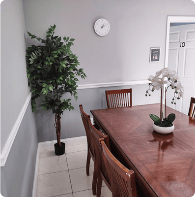 Mama Llama Assisted Living