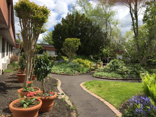 Pathway through a vibrant garden with flowers
