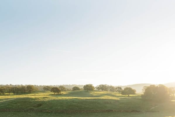 Belmare Senior Living