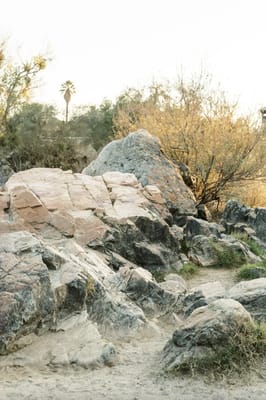 Belmare Senior Living