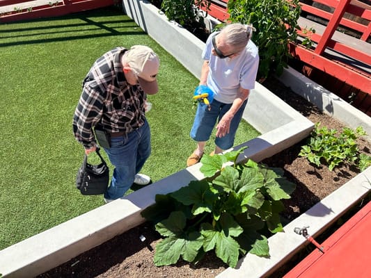 Residents gardening in an outdoor space