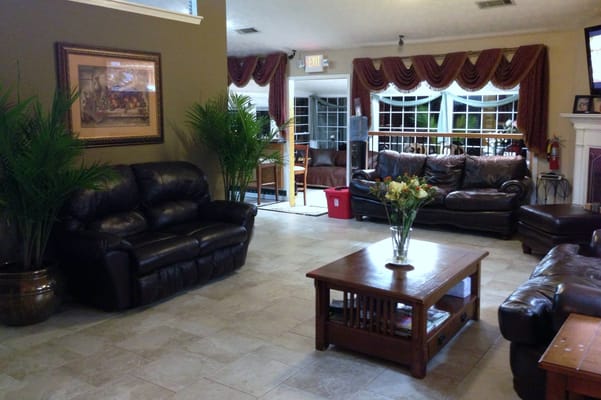 Comfortable living room with leather sofas and plants