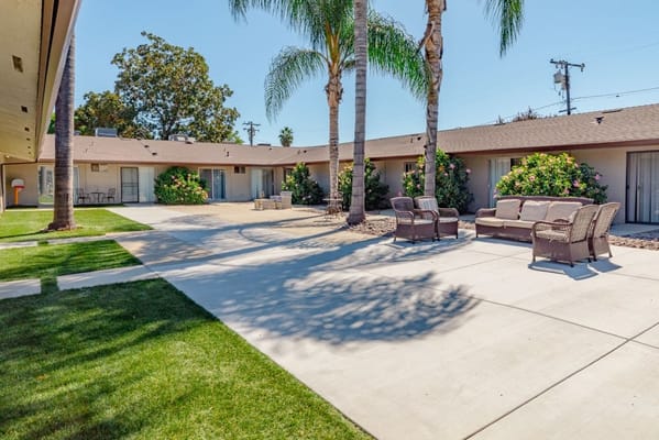 Outdoor courtyard with seating and palm trees
