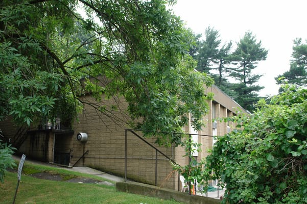 Exterior of Crestview Manor ALF surrounded by greenery