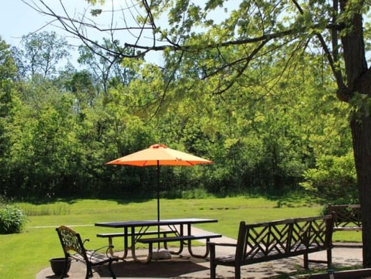 Outdoor picnic area with table and umbrella