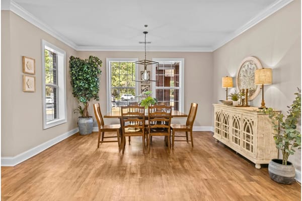 Bright dining area with wooden furniture and plants