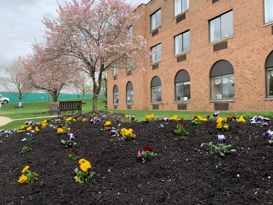 Flower garden outside the Markley Rehabilitation Center
