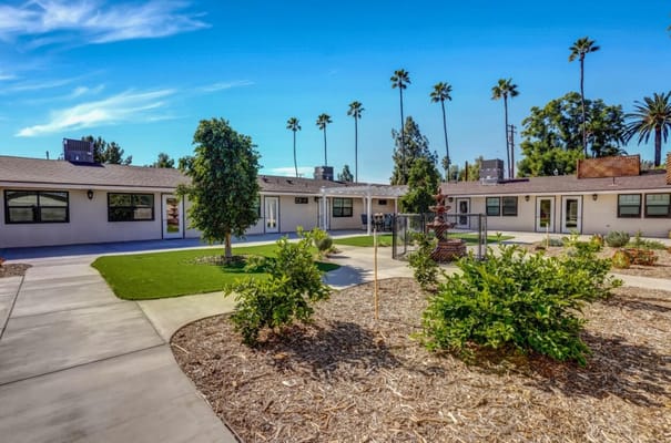 Outdoor courtyard with landscaping and palm trees