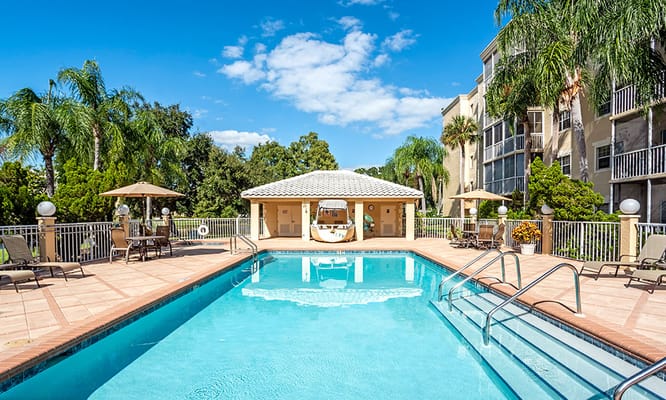 Swimming pool surrounded by lounge chairs and palm trees