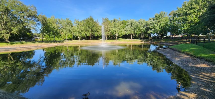 A peaceful pond with a fountain surrounded by trees