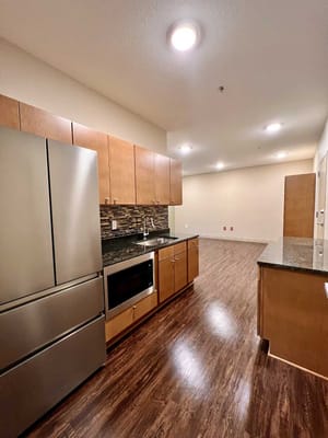 Modern kitchen with stainless steel appliances and wooden cabinets