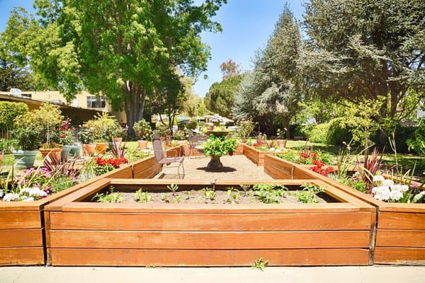 Raised garden beds surrounded by flowers and greenery
