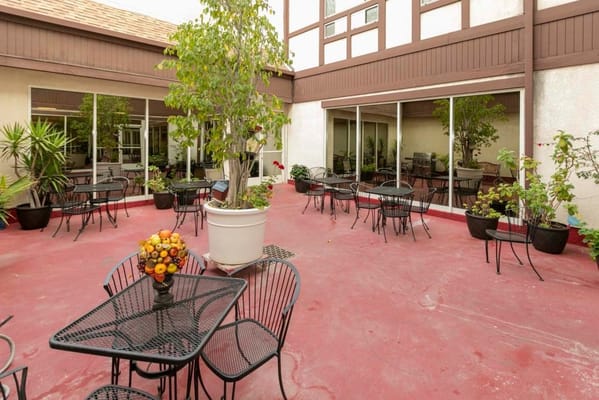 Outdoor patio area with tables and plants