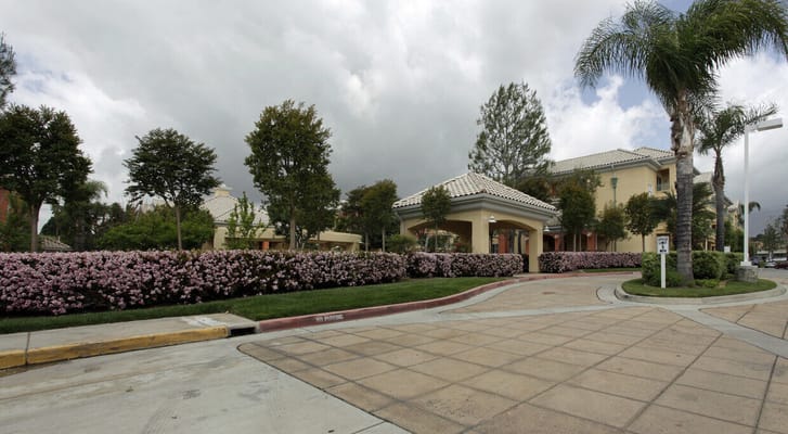Entrance with flowering shrubs and palm trees at Villa Pacifica