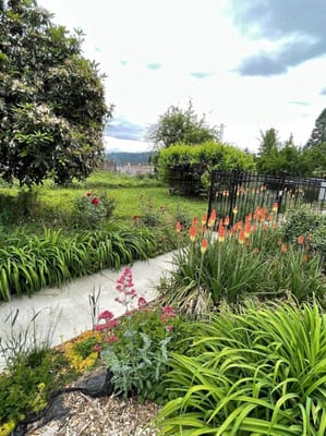 Lush garden area with colorful flowers and pathways