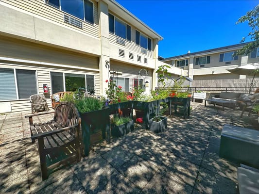Garden area with seating in an outdoor space