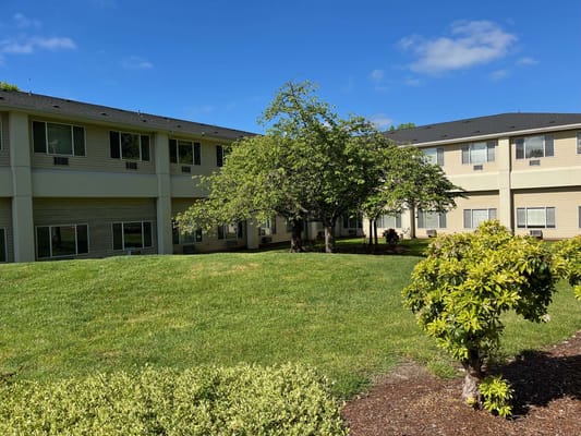 A landscaped outdoor area at the facility