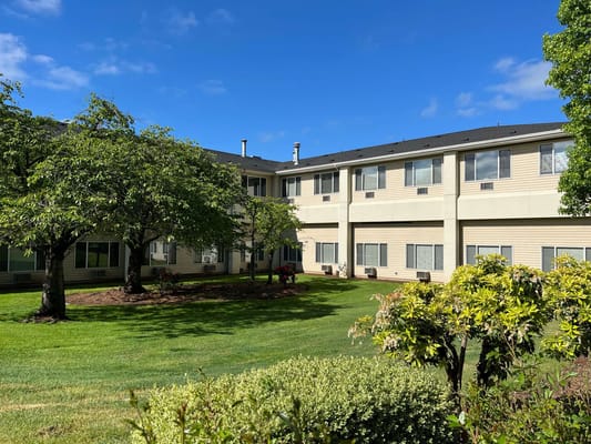 Well-maintained courtyard with grass and shrubs