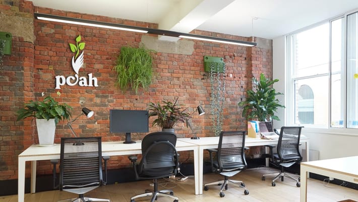 Logo of Preferred Care at Home on a brick wall