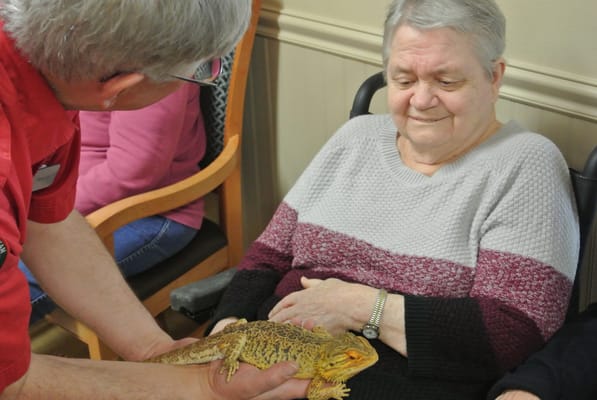 Marquis Autumn Hills