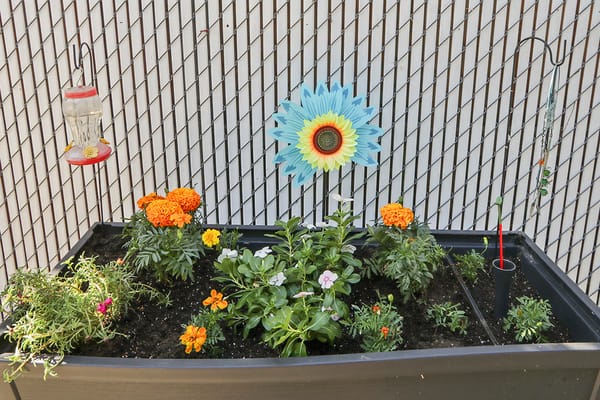 Saylor Lane Health Care Center