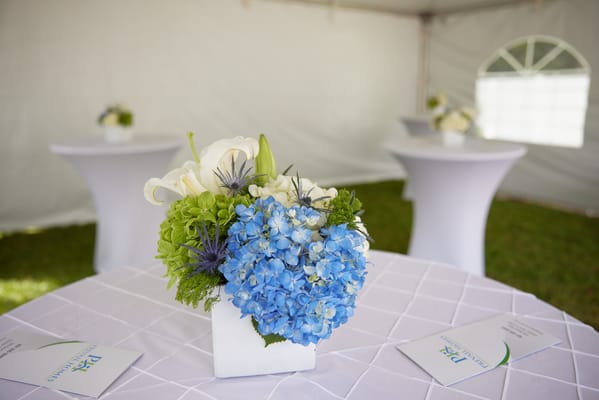 Prevail Homes Residential Assisted Living Facility