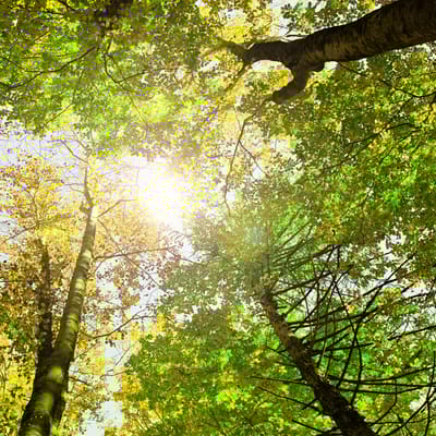 Oaktree Place Senior Living