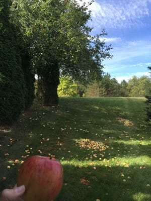 New Heights Assisted Living