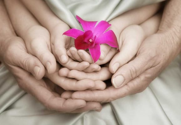 Hands of different ages holding a flower together