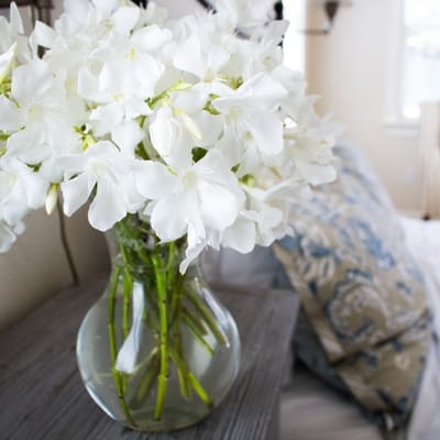 All Seasons | Residential Assisted Living