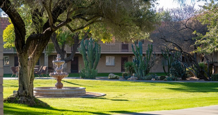 A serene outdoor garden area with a fountain and plants