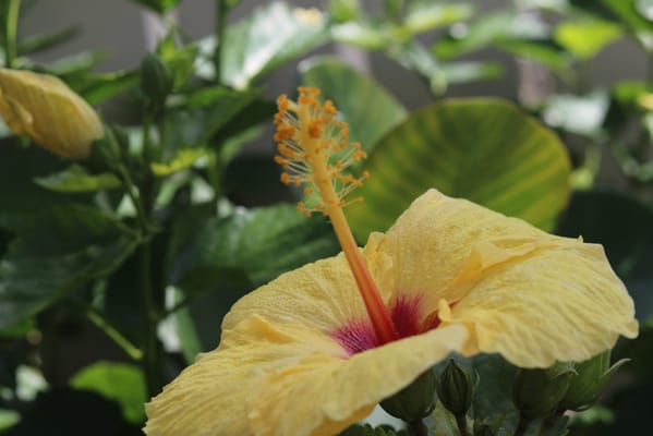 Yukio Okutsu State Veterans Home