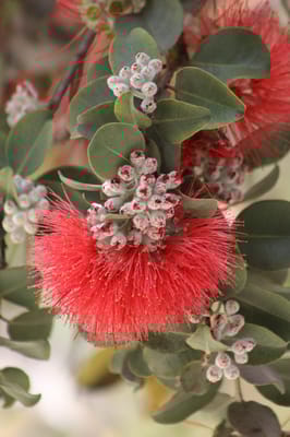 Yukio Okutsu State Veterans Home