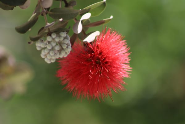 Yukio Okutsu State Veterans Home