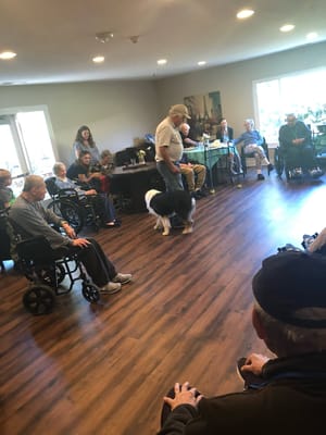 Residents enjoying an activity with a therapy dog