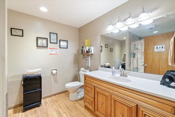 A well-lit interior bathroom with wooden cabinetry