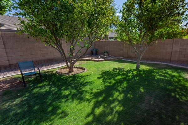 Well-maintained garden area with trees and grass