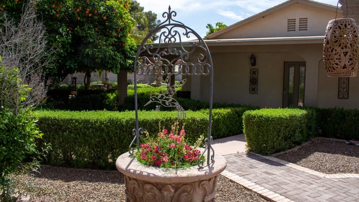 Beautiful outdoor garden feature with flowers and greenery