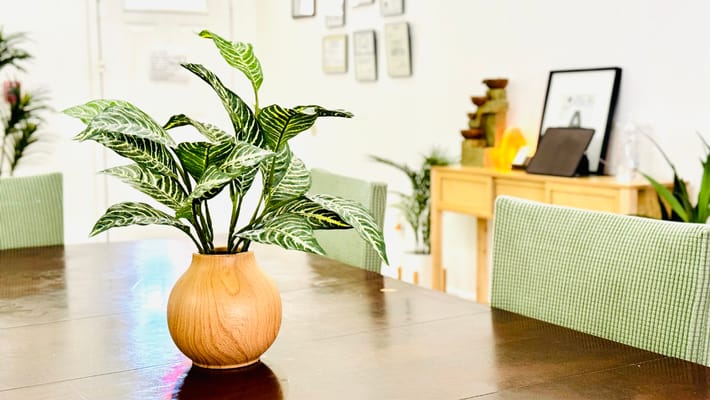 A well-decorated common area with a plant centerpiece