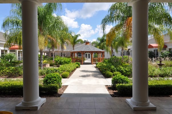 Outdoor garden area with a gazebo and palm trees