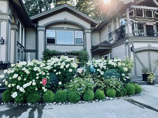 Exterior view of Felicity Senior Care with lush landscaping