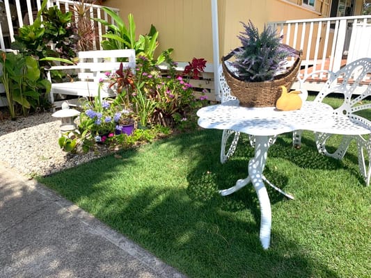 Garden area with a decorative table and plants