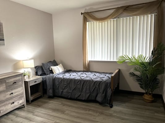 A neat bedroom featuring a single bed, nightstand, and a potted plant.