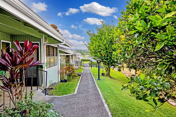 Pathway through beautifully landscaped outdoor space