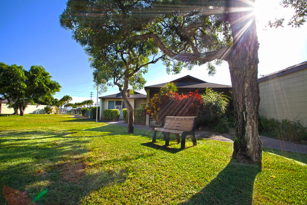 Green lawn with benches under trees in a senior facility