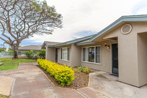 Building exterior with landscaped walkway and tree