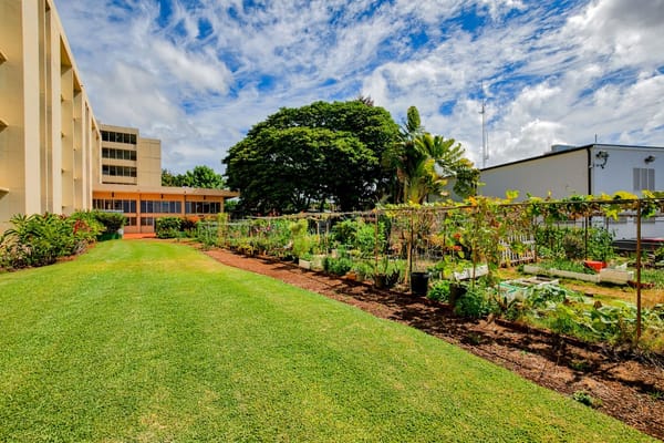 A garden area outside the facility with vibrant plants