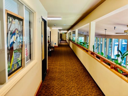 Interior hallway with stained glass and plants
