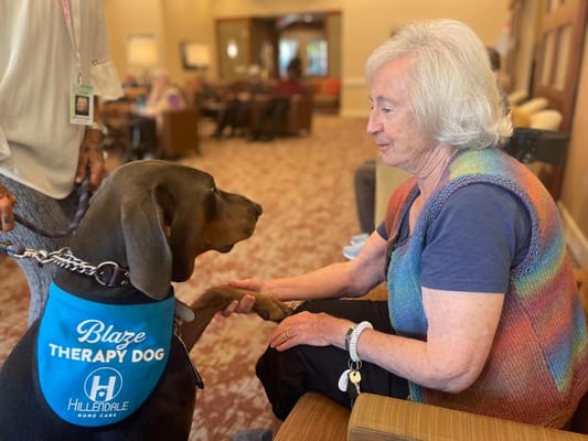 Resident interacting with a therapy dog