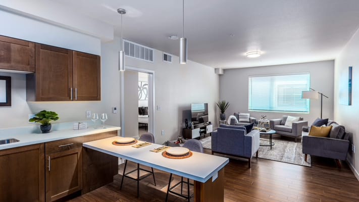 Modern living room and kitchen area in a senior apartment